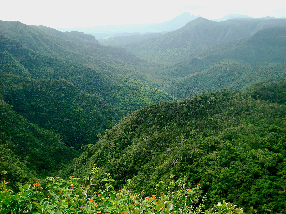 Black_River_Gorges_National_Park,_Mauritius